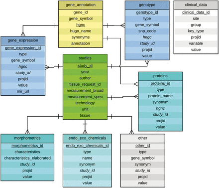 Entity-Relationship Diagram for the experimental data tables in the NNTC-DCC database. The central table is the studies table which describes a given study characterized by a study_id (e.g. in the form of S0001.1), principal investigator, year, tissue request ID, measurement, technology, unit and tissue. A study may consist of multiple tissue requests, thus the study_id might be incremented (e.g. S0001.1 to S0001.2). The tables gene_expression, genotype, proteins, endo_exo_chemicals, morphometrics, and other are grouped around the studies table in a 1:N relationship signifying that a single study may study multiple genes, proteins, morphological characteristics, etc. The table gene_annotation contains HGNC ids, gene symbols, synonyms and annotations for genes and proteins, hence their connection to the tables gene_expression, genotype and proteins. The ER diagram was created by using Lucidchart at www.lucidchart.com .