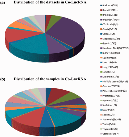 Statistics of datasets and samples used in Co-LncRNA. Distribution of ( a ) the datasets and ( b ) the samples. The two numbers behind the tissue type/cell line names represent the dataset sizes and sample sizes, respectively.