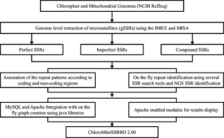 Updated enhanced illustrated view of the flow of the information of the data in ChloroMitoSSRDB 2.00.