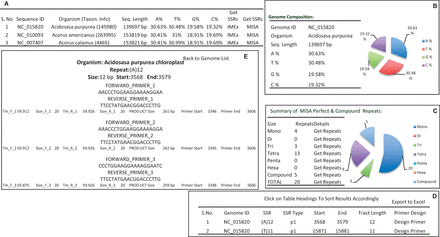 Repeat summary of Acidosasa purpurea chloroplast repeat extracted by MISA. ( A ) Details of chloroplast microsatellites. ( B ) Repeat summary of Acidosasa purpurea chloroplast repeat extracted by MISA and nucleotide composition of Acidosasa purpurea chloroplast. ( C ) Summary of MISA perfect and compound SSRs in Acidosasa purpurea chloroplast in tabular and graphical manner. ( D ) Detail information about perfect and compound SSRs in Acidosasa purpurea chloroplast. ( E ) Primers list and associated information available for any particular SSR.