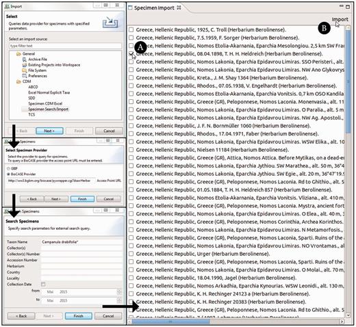 Taxonomic Editor of the EDIT Platform, derivatives perspective: screenshot of the specimen query and import interface. The black arrows indicate the single menu steps that specify the import. After the import form has been sent out, the search results are listed in a separate tab. The specimen can then be chosen ( A ) and the import of the datasets can be completed ( B ).