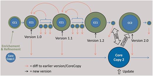 Scheme of the envisaged versioning functionality for sample metadata. The core copy is a copy of an imported dataset of an external provider, which is edited (green data). The versioning support of the CDM database, reporting every single change in the data, is used at certain intervals to create versions of the data, which can be compared using a diff viewer. The result of a subsequent query at the provider is stored as a new core copy, which can be compared with the latest version based on the first core copy and subsequently be edited.