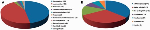 miRSponge statistics. ( A ) A total of 11 species are currently incorporated in miRSponge, including animals, plants and viruses. ( B ) Endogenous and exogenous biological molecules are documented, including coding mRNAs, pseudogenes, lncRNAs, circular RNAs, proteins, viral RNAs and artificial engineered sponges.