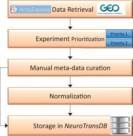 Overall workflow for curation of gene expression studies related to neurodegeneration from public archives. The first step involves automated retrieval of gene expression studies (along with metadata) from public archives such as GEO, and ArrayExpress. The related studies were further assigned to one of the two prioritization classes (priority 1 or priority 2), based on the specific experimental variables. Next, manual curation was applied to capture missing metadata information on priority 1 studies. All the harvested metadata was normalized using standard vocabularies. Both raw and normalized data are stored in NeuroTransDB .