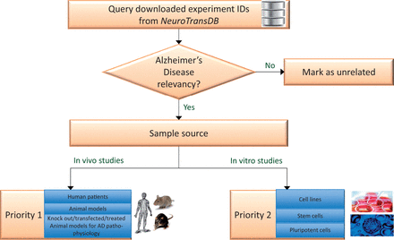 Experiment prioritization for metadata curation in NeuroTransDB . All the downloaded Alzheimer’s Disease experiments were first checked for their disease relevancy. Those experiments which were falsely retrieved, are marked as unrelated. The remaining experiments were classified into one of two priority classes based on the experiment type: In vivo or In vitro studies. For priority 1, we considered direct/primary samples from human or animal models such as brain tissue, blood, etc. Experiments that were conducted on derived sample sources such as cell lines, were put into priority 2 class.