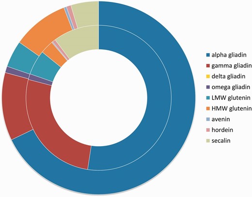 Number of epitopes in the different prolamin protein types. Inner circle shows the distribution of T-cell-specific linear epitope counts in prolamin types represented in the ProPepper database. Outer circle represents the distribution of B-cell-specific linear epitope hits found in the different prolamin types. Prolamin types are labelled by different colours.