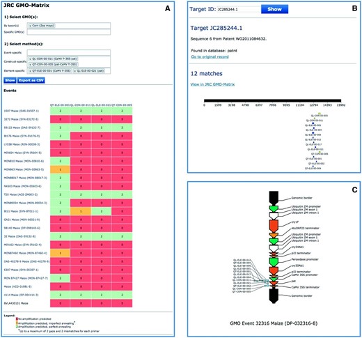 Use of JRC GMO-Amplicons to assist interpretation of screening results. A case-study of detection and identification of unauthorized GM maize event in food/feed products. A maize sample was found positive to specific methods QL-CON-00-011 (junction between the Cauliflower Mosaic Virus 35S promoter and the S. viridochromogenes pat gene), QT-CON-00-005 (junction region between the pat gene from and the Cauliflower Mosaic Virus 35S terminator) and to two element detection methods, QT-ELE-00-001 (Cauliflower Mosaic Virus 35S promoter) and QL-ELE-00-021 ( pat gene). The JRC GMO-Matrix ( A ) predicts 5 GM maize events as potential events positive to all of them, but the sample is negative for the corresponding event-specific methods. By querying the database with these methods and focusing on the unique records of the patnt , sequence, JC285244.1 from patent WO2011084632 ( 33 ) is found ( B ). According to the annotation, this sequence corresponds to the ‘ complete sequence of the insert and flanking regions of event DP-032316-8 ’, a good candidate for which the sample can be easily tested, as the patent describes also a detection method for this event. JC285244.1 was fully characterized ( C ), confirming that it is the full sequence of DP-032316-8 maize event.