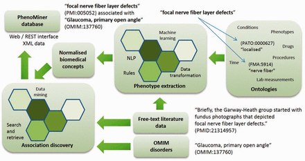 Overview of PhenoMiner illustrating the flow of data from the literature, to text mining, to association discovery and into an integrated semantic representation.
