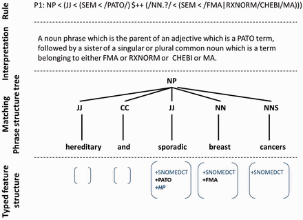 Example of semantic tree matching with a Tregex rule.