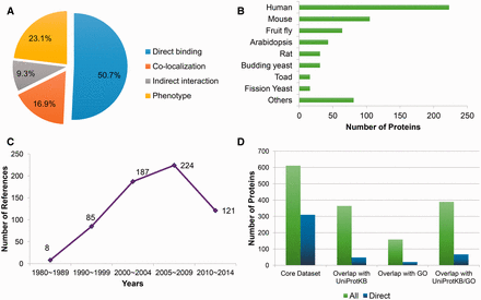 Statistics of the manually curated core dataset. (A) The fraction of different classes of microtubule related proteins; (B) Statistics of source organisms, including human ( Homo sapiens ), mouse ( Mus musculus ), fruit fly ( Drosophila melanogaster ), Arabidopsis ( Arabidopsis thaliana ), rat ( Rattus norvegicus ), budding yeast ( Saccharomyces cerevisiae ), toad ( Xenopus laevis ), fission yeast ( Schizosaccharomyces pombe ) and others; (C) Publication year distribution of the supporting references; (D) Overlap with the UniProtKB and Gene Ontology (GO) databases (version of December, 2014), where green bars (‘all’) present the statistics about all of the microtubule-related proteins, while the counts indicted by blue bars (‘direct’) only take proteins that directly bind microtubules into consideration.