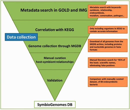Schematic representation of the data collection workflow. The graphic illustrates the mayor modules of the data collection and the action taken in each step. The pipeline is highly tunable, and every update will be easier and shorter, since this first manual curation has been so thorough. The triangle shape is meant to convey that each step acts as a filter of data we are not interested in, until we end up with the highly curated catalog that SymbioGenomesDB currently offers.