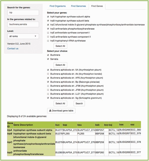 Example of a FIND GENES search. (a) Searching for all the genes included in the tryptophan biosynthesis in the genomes related to insects. We get two scrolling menus and selected all the tryptophan genes and the genomes of several species of the Buchnera genus, as well as the species Serratia symbiotica . (b) The resulting table that lists the orthologs found between the genomes we selected, including the bacteria working as cosymbionts in the aphid Cinara cedri , that participate in an exceptional metabolic complementation of the tryptophan metabolic pathway ( 16 ). (c) Even though the table shows the abbreviated genome names from KEGG ( 6 , 7 ), if you scroll over the name, you get the complete species name in a little box below the pointer.
