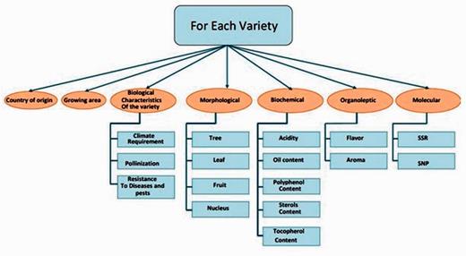 Data classification.