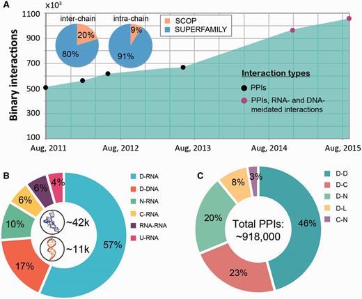Interaction statistics for DOMMINO 2.0. (A) The growth of the number of binary macromolecular interactions in DOMMINO, from DOMMINO 1.0 (interactions between two polypeptide subunits only) to DOMMINO 2.0 (polypeptide-, DNA- and RNA-mediated interactions, shown in circles). The majority of interactions involving protein subunits are annotated using SUPERFAMILY (82% of inter-chain and 92% of intra-chain interactions). (B) Relative contribution of six most abundant interaction types involving a nucleotide subunit. Shown in the center are the total numbers of RNA- and DNA-mediated interactions. (C) Relative contribution of five most abundant polypeptide-polypeptide interaction types. Denoted are eight different subunits types: domains (D), C-termini (C), N-termini (N), inter-domain linkers (L), undefined chains (U), peptide (P), DNA molecules (DNA) and RNA molecules (RNA). Shown in the center is the total number of polypeptide-polypeptide interactions (PPIs).