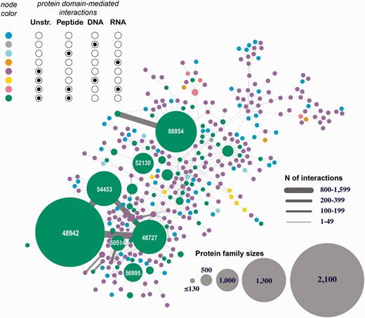 Human 3D interactome that includes RNA-, and DNA-mediated interactions. Shown is the largest connected component comprised of 39 399 protein subunits annotated into 354 SCOP protein families and mediating 26 516 protein–protein interactions and 257 protein–nucleotide interactions. The nodes correspond to protein families and are colored based on the types of interactions mediated by the proteins. Unstr corresponds to all unstructured protein subunits (C- and N-termini, and domain linkers). The numbers shown in the large nodes correspond to the SCOP IDs for those large protein families. For example, 48942 is a SCOP ID for the ‘C1 set domains (antibody constant domain-like)’ SCOP family of immunoglobulins.