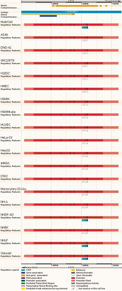 Regulatory Feature ‘Summary’ view. This view displays the genes overlapped by the regulatory element of interest, along with activity information in all available cell types. In this case, the red promoter is constitutively active, but the nearby cyan CTCF binding site is active in only 4 cell types.