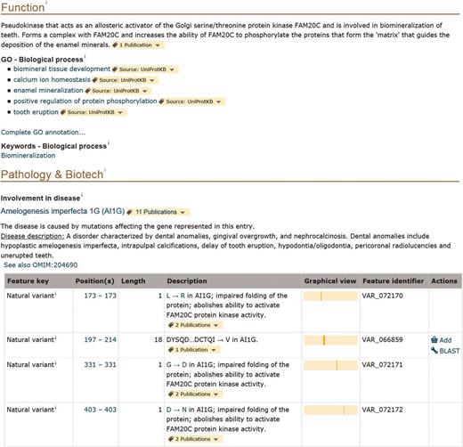 Screenshot of the ‘Function’ and ‘Pathology and Biotech’ sections of human FAM20A entry (UniProtKB Q96MK3, http://www.uniprot.org/uniprot/Q96MK3 ).