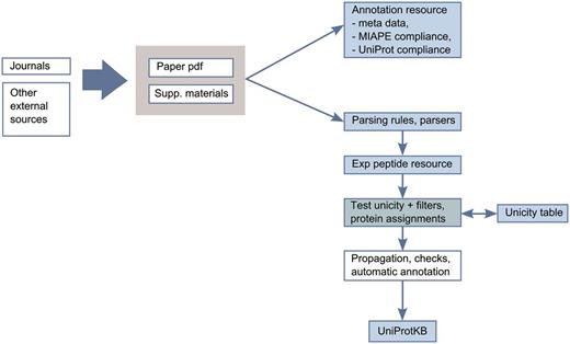 Annotation scheme for integration of proteomics data in UniProtKB.