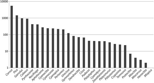 Number of articles per genus recorded at CLD. Note the logarithmic scale: more than two-thirds of the data solely refer to Corvus , 18% to Pica , 12% to Garrulus and 11% to Coloeus . Many articles cover more than one taxon.