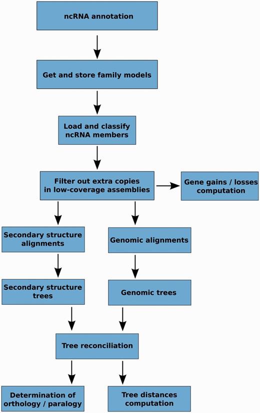 Schematic representation of the main steps in the ncRNA tree analysis pipeline.