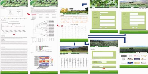 An illustration of the MGFD system.