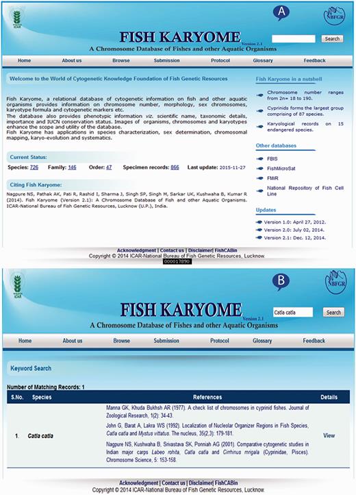 Web interface of Fish Karyome: ( A ) home page and ( B ) key word search.