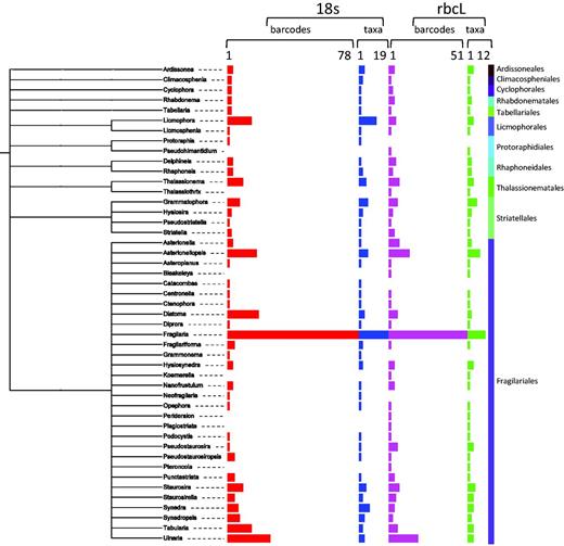 Number of barcodes (18S and rbcL) and taxa in R-Syst::diatom for Fragilariophyceae orders (update of September 2015). Red and purple horizontal bars give the number of barcodes, respectively, for 18S and rbcL. Blue and green horizontal bars give the number of taxa, respectively, for 18S and rbcL. Tree created with itol.embl.de based on diatom taxonomy.