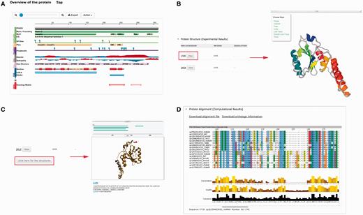 Plug-ins in PolyQ 2.0 to enhance database visualization. ( A ) Protein feature view plug-in. ( B ) PV showing protein structure. ( C ) pViz for visualizing multiple structures. ( D ) Jalview displaying MSAs.