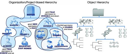 Hierarchical security model. Users, groups, files, processes, metadata, visual elements and algorithms are all treated as security-enabled objects. A hierarchical security model allows granting of permissions down the hierarchy, up the hierarchy, or to specific subjects with a minimal number of access control rules. The use of multiple hierarchies to organize users, projects and data objects further controls access rights through the complex mapping between distinct hierarchies.