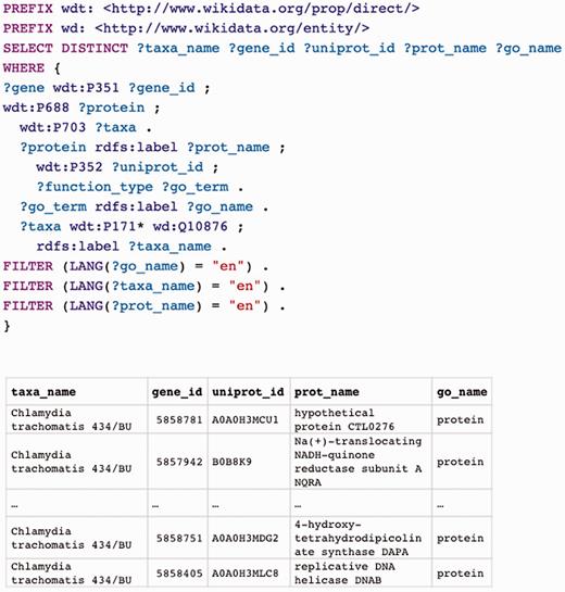 SPARQL query for all microbial genes, proteins and associated Gene Ontology annotations in Wikidata. Properties used: P351 = entrez_gene_id, P688 = encodes, P703 = found in taxon, P352 = uniprot_id, P171 = parent taxon. Note that the * operator on P171* results in a recursive search for organisms that descend from wd:Q10876 (Bacteria). This query may be executed at https://query.wikidata.org/ .