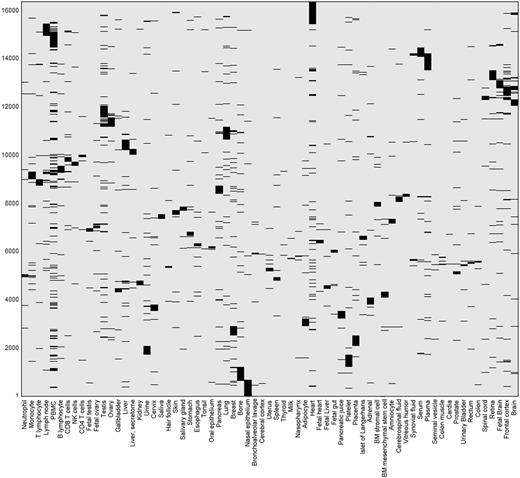 Double hierarchical clustering of the differential expression binary matrix. Analysis included 16 366 genes with differential expression annotation, belonging to the 5839 non-zero patterns. Jaccard coefficient was used as the metric distance.