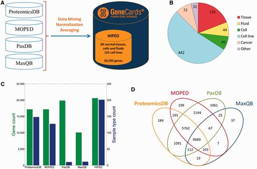HIPED—Human Integrated Protein Expression Database. (A) HIPED architecture scheme. (B) Classification of the 771 proteomes in HIPED. (C) Gene and sample type counts of HIPED and its mined components. Sample types are unique normal anatomical entities or cell lines represented in each source. (D) Gene content overlap of HIPED mined sources.