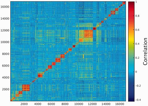 K-means analysis 53 clusters of the 16 900 genes in normal human proteomes.