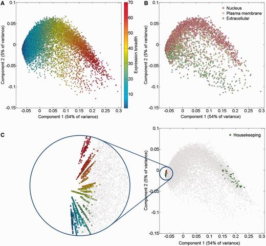 PCA of 16 900 genes comprising HIPED normal proteomes. (A) Gene expression breadth. Expression breadth is one of the gene expression vector signatures determining its position in the PCA space. This feature is closely related to the first component of the PCA. (B) Subcellular localization. Subcellular localization data from COMPARTMENTS (31) was projected on the gene expression space. Only genes having the maximal confidence score of 5 for a single subcellular compartment are shown. (C) Single tissue and housekeeping genes. All 2320 genes expressed in a single anatomical entity are shown, representing the tissue-specific dimensions in the expression space (left panel, different colors are used to distinguish tissues). Genes with housekeeping properties populate a specific area in the PCA space (right panel). Top 50 genes were selected with the highest pairwise similarity of across-tissue protein abundance patterns of a gene against an in silico ‘ideal’ housekeeping profile (similar expression of 10 000 PPM across all tissues and cells and 0 PPM across fluids).