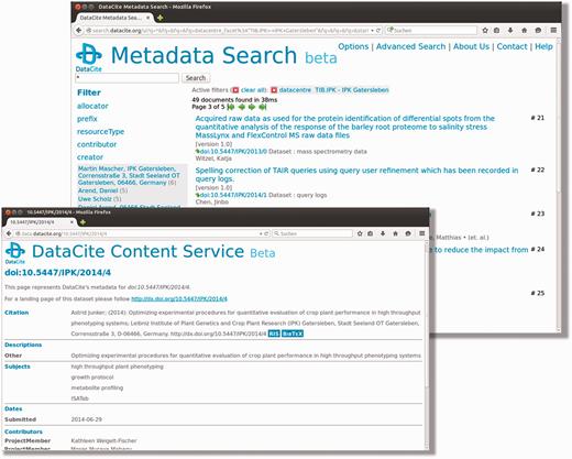DataCite metadata search interface. This screenshot shows the web interface of DataCite, where a number of filter functionalities are implemented and additional options can be defined using the advanced search functionalities.
