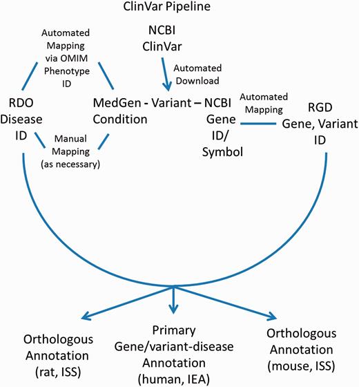 ClinVar Automated Import and Annotation Pipeline flow chart.