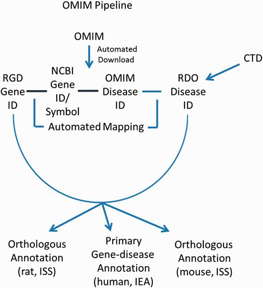 OMIM Disease Annotation Pipeline flow chart.