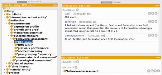 Subset of the new classes added to the RB, showing the human readable label, alternative term and definition for the BBB score class.