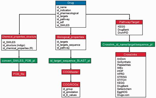 Maintenance and database scheme of DrumPID database. The workflow illustrates detailed maintenance and update procedures of DrumPID database. We update drugs and their properties each month, the steps are shown above. Once a new drug is added into DrumPID database (blue box), own calculation procedures (red boxes) are carried out manually, next all structure file conversions, related crosslinks and bridging information are automatically generated by scripts (green boxes), i.e. COGMaster from JANE package (6) and other Perl scripts.