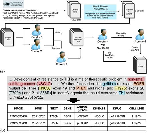 Manual curation of BRONCO. (a) Workflow of manual curation. (b) Example of manual curation.