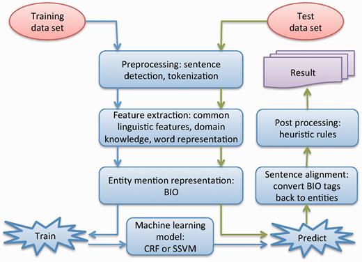 The workflow of our system for chemical named entity recognition from patents.