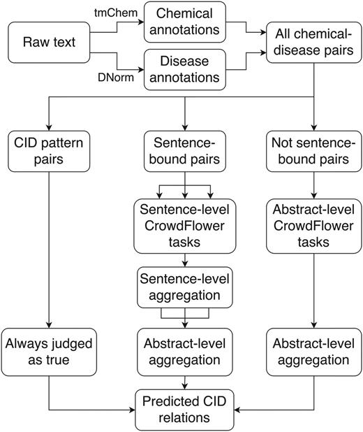 Crowdsourcing workflow for extracting CID relations from free text. DNorm and tmChem were used to annotate disease and chemical concepts in the text. All possible pairwise combinations of chemicals and diseases were generated and processed either automatically or via a sentence- or abstract-scoped crowdsourcing task using the CrowdFlower interface.
