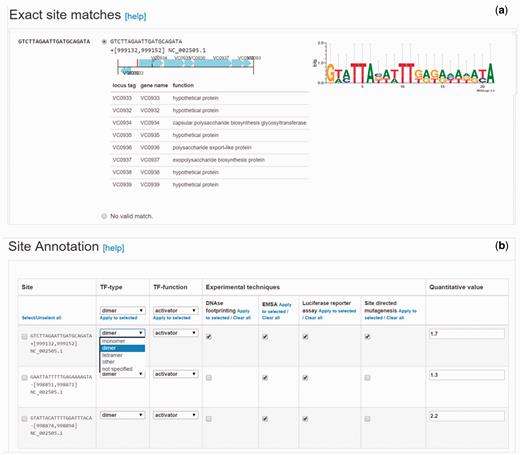 Site validation and annotation steps in the updated CollecTF curation pipeline. (a) Validation of the genome mapping process for individual sites, following sequence search or coordinate entry. Curators make use of the genetic neighborhood for each site to validate the mapping process and determine the proper mapping when a reported sequence maps to multiple genome locations. (b) In the updated pipeline, submitters can annotate independently each reported site in a single curation, defining the TF mode of interaction and regulatory effect, and the experimental techniques supporting the annotation for each site.