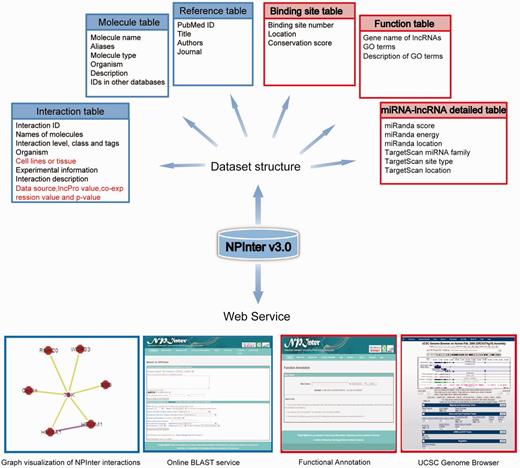 An overview of the NPInter v3.0 database. Improvements in this updated version are highlighted with a red border or by a red color. 191 × 183 mm (300 × 300 DPI).