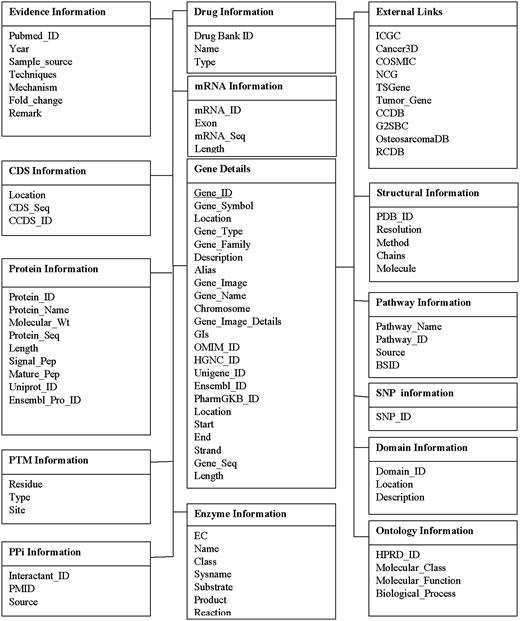 Database structure of CoReCG. The detailed MySQL database structure which consists of 14 tables.
