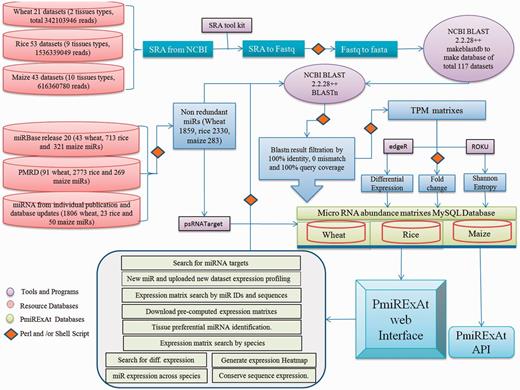 Methodology flow chart showing source of raw data collected, scripts and programmes used in processing files to generate results, database of pre-computed values of processed files.