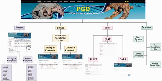 Schematic structure of the PGD.