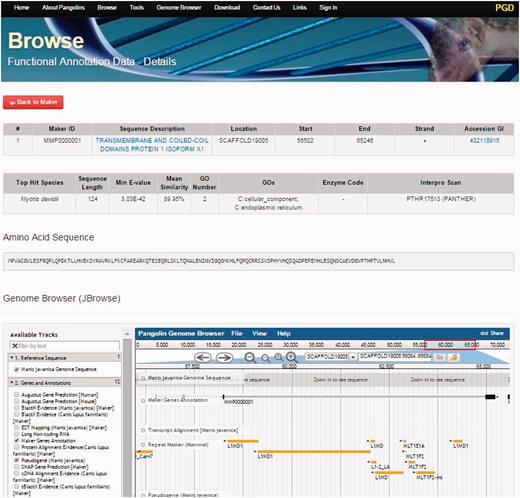 A screenshot of gene details page. This page will display information of a gene including its sequences and functional annotation.