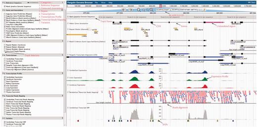 Pangolin genome browser. Users can turn on and off the annotation tracks in the left panel.