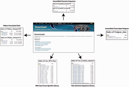 Web interfaces for data download in PGD.